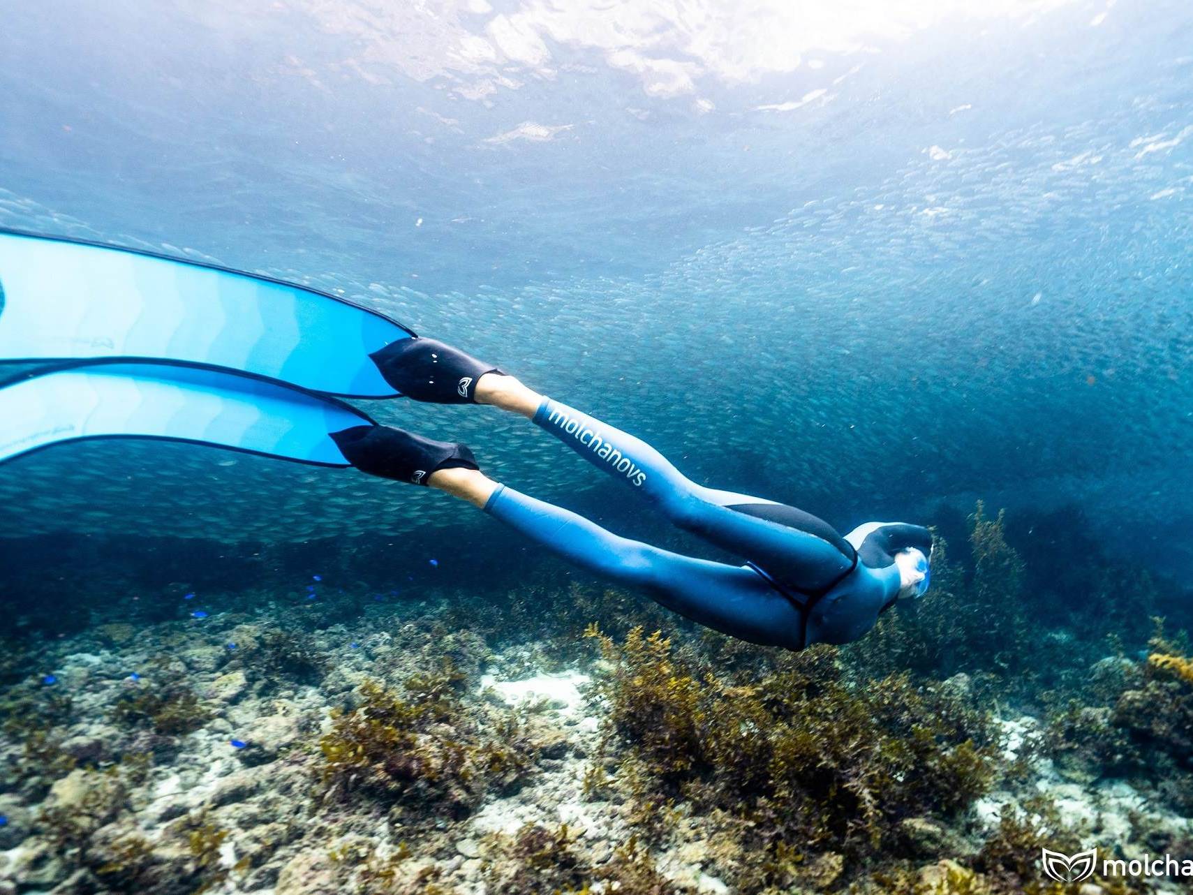 Freediving and reaching the amazing flow